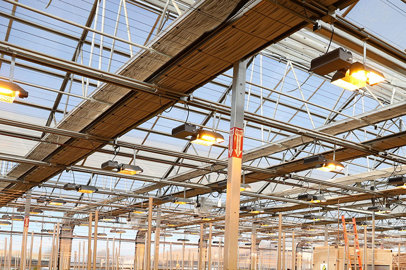 AG Commercial Greenhouses AG Commercial greenhouses
