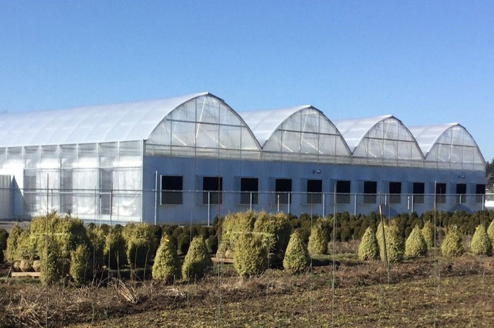 Commercial Gothic Greenhouses Commercial Gothic greenhouses