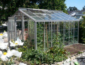 Traditional Greenhouse Traditional greenhouse 10x14 glass