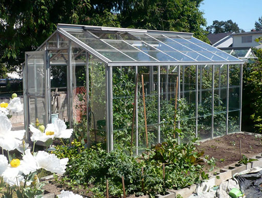 Traditional Greenhouse Traditional greenhouse 10x14 glass